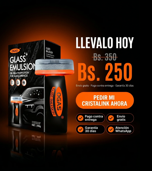OGAS®.- Limpiador de parabrisas profesional